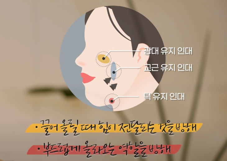 유지인대 역할